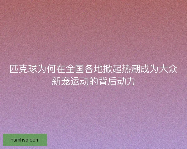 匹克球为何在全国各地掀起热潮成为大众新宠运动的背后动力